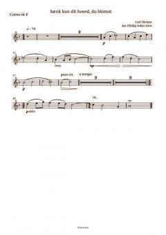 6 Songs By Carl Nielsen 