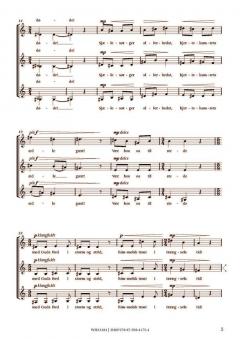 Syv Trinitatis-Motetter von Phillip Faber 