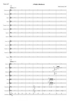 A Walk To Beethoven von Britta Byström 