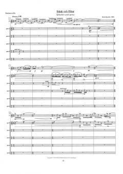 Stänk Och Flikar - Splashes And Spray von Britta Byström 