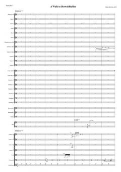 A Walk To Berwaldhallen von Britta Byström 