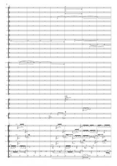 A Walk To Berwaldhallen von Britta Byström 