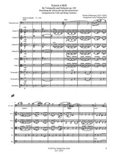 Max Bruchs Instrumentalmusik - Leben und Werke 