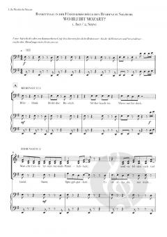 Mozart! von Michael Kunze 