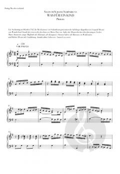 Mozart! von Michael Kunze 