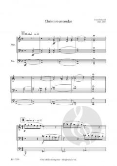 Orgelmusik über 'Christ ist erstanden' von Ernst Schandl im Alle Noten Shop kaufen