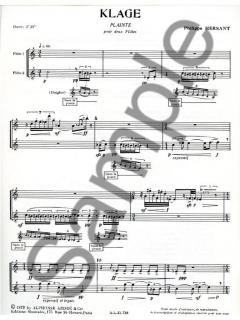 Klage (Plainte) von Philippe Hersant für 2 Flöten im Alle Noten Shop kaufen