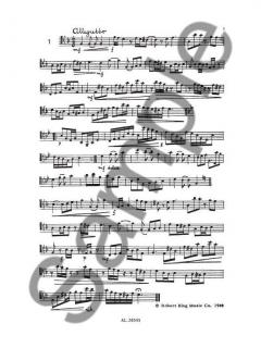 Advanced Studies von Kauko Kahila 