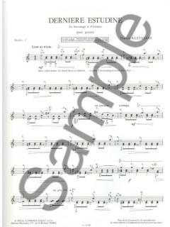 Derniere Estudine von Francis Kleynjans 