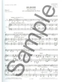 Elegie von Adolfo Mindlin 