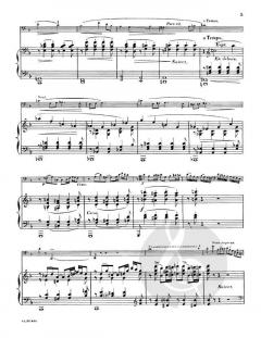 Solo De Concert Op. 35 (Gabriel Pierne) 