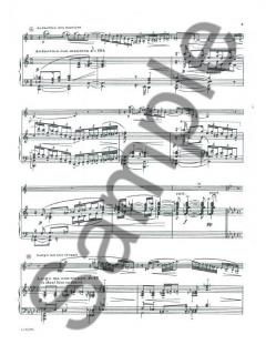 Fantaisie et Danse En Forme De Gigue- Clarinette et Piano von Jules Semler-Collery 