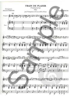 Train De Plaisir von Johann Strauss (Vater) 