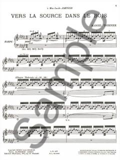 Vers La Source Dans Le Bois von Marcel Tournier 
