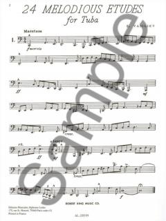 24 Melodious Etudes von Dmitri Stepanovitch Vasiliev 