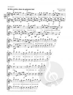 Flöte spielen Band B von Elisabeth Weinzierl im Alle Noten Shop kaufen