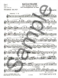 Saxaubade von Bernard Wystraete 