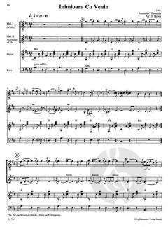 Combocom: Djelem von Paul Hoorn 