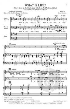 What is Life? von Imant Raminsh 