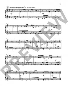 17 Trances of the Pomegranate Tree von Xuntian He 