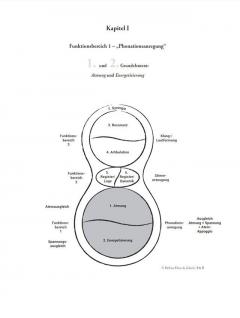 Die 7 Grundelemente der Stimmbildung von Barbara Hoos de Jokisch 