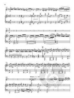 Euphonium Concerto von Paul Mealor 