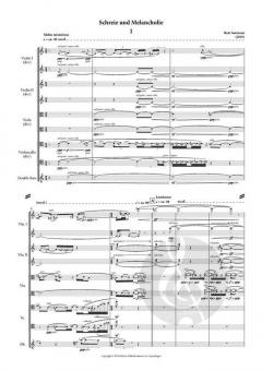 Schreie Und Melancholie von Bent Sørensen 