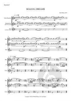 Seagull Dreams von Peter Bruun 