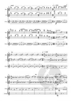 Seagull Dreams von Peter Bruun 