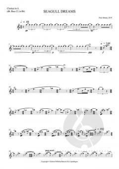 Seagull Dreams von Peter Bruun 