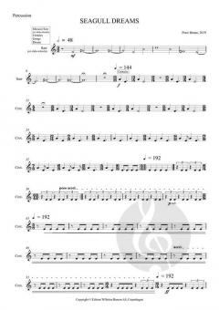 Seagull Dreams von Peter Bruun 