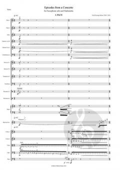 Episodes From A Concerto von Niels Rosing-Schow 