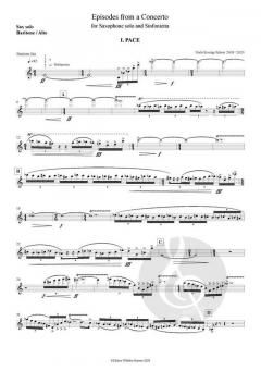 Episodes From A Concerto von Niels Rosing-Schow 