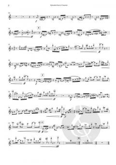 Episodes From A Concerto von Niels Rosing-Schow 