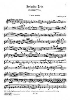 Trio op. 59/6 