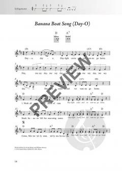 Das Rock & Pop Fetenbuch für Alt und Jung 