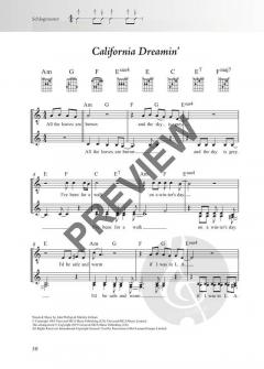 Das Rock & Pop Fetenbuch für Alt und Jung 