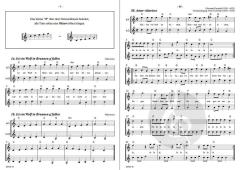 Die Altblockflöte 1 (Johannes Bornmann) 