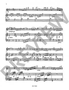 Kadenzen für Flöte und Harfe (Karl Pillney) 