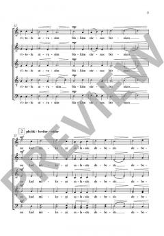 Mūsu kalni von Peteris Vasks (Download) 