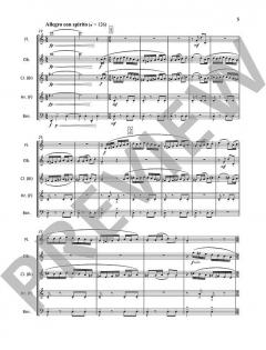 Carnaval von Naji Hakim (Download) 