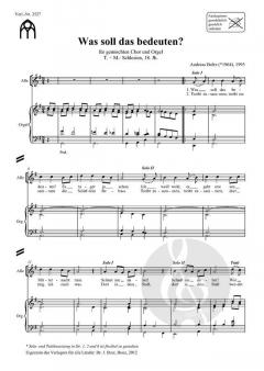 Was soll das bedeuten? von Andreas Boltz 