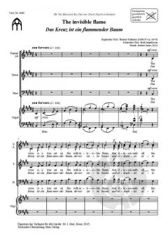 The invisible flame von Robert Jones 