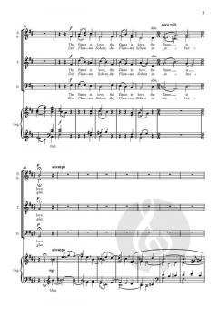 The invisible flame von Robert Jones 