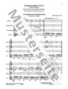 Gedankensplitter von Michael Kubik 