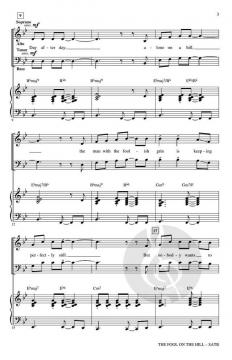 The Fool on the Hill von The Beatles 