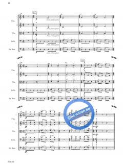 Illusions von Robert Frost 