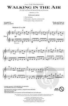 Walking In The Air von Howard Blake 