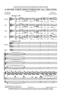 A Divine Voice Sings Through All Creation von David L. Brunner 