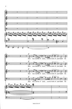 A Divine Voice Sings Through All Creation von David L. Brunner 